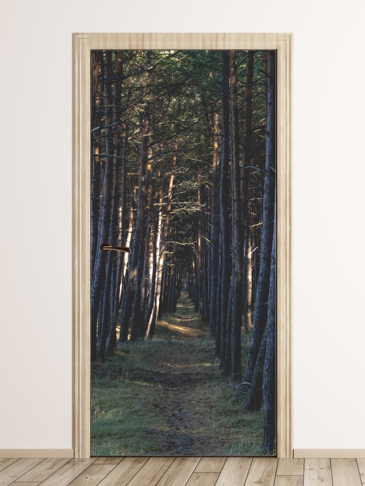 Fototapeta na drzwi leśna przecinka FP 6025