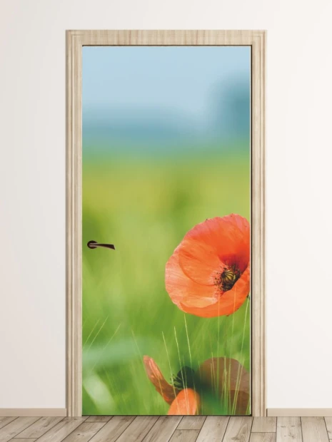 Fototapeta na drzwi mak w polu FP 5614 - Wzór graficzny. Na tle zielonego pola widoczne są czerwone maki