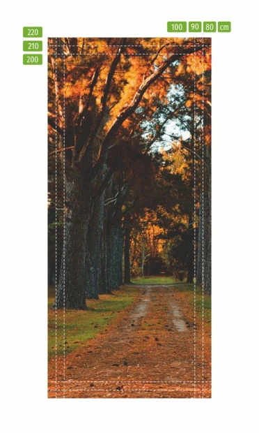 Fototapeta na drzwi parkowa aleja FP 5737 - Wzór graficzny. Przedstawia aleję drzew w jesiennych kolorach