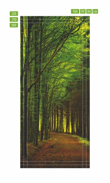 Fototapeta na drzwi droga przez las FP 6049 - Wzór graficzny. Przedstawia ścieżkę w lesie otoczoną drzewami