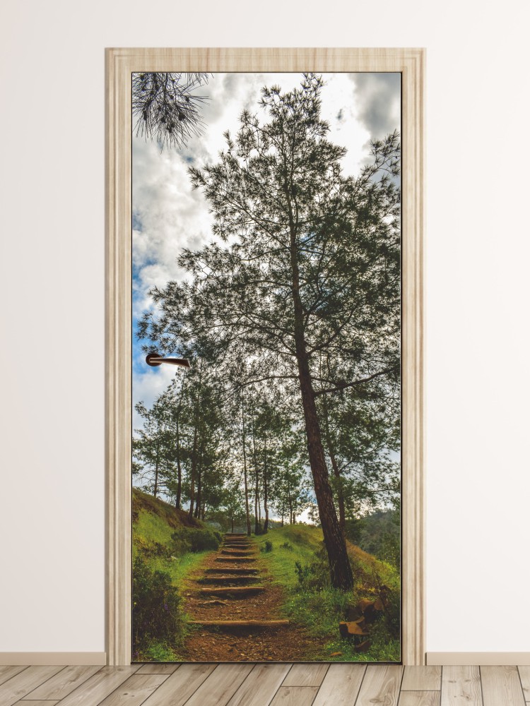 Fototapeta na drzwi górska dróżka FP 6036