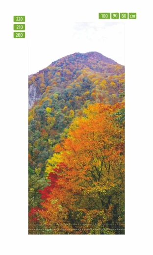 Fototapeta na drzwi z motywem jesiennych gór w formie infografiki z zaznaczonymi liniami cięcia wymiarów