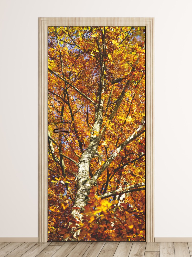 Fototapeta na drzwi jesienne drzewo FP 6071
