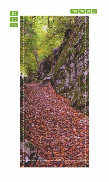 Fototapeta na drzwi jesienne liście FP 6042 - Wzór graficzny. Scena przedstawia leśną ścieżkę pokrytą liśćmi w odcieniach