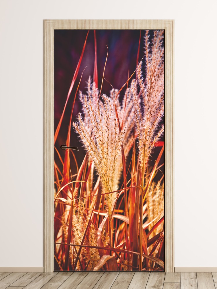 Fototapeta na drzwi jesienne trawy FP 6074