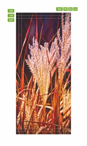 Fototapeta na drzwi jesienne trawy FP 6074 - Wzór graficzny. Grafika przedstawia trawy w odcieniach brązu i złota