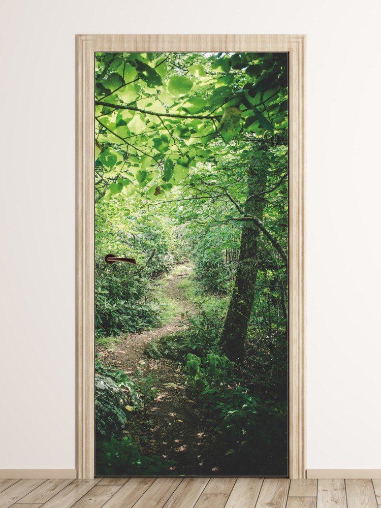 Fototapeta na drzwi leśna ścieżka FP 6039