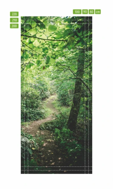 Fototapeta na drzwi leśna ścieżka FP 6039 - Wzór graficzny. Grafika przedstawia wąską ścieżkę w lesie otoczoną drzewami