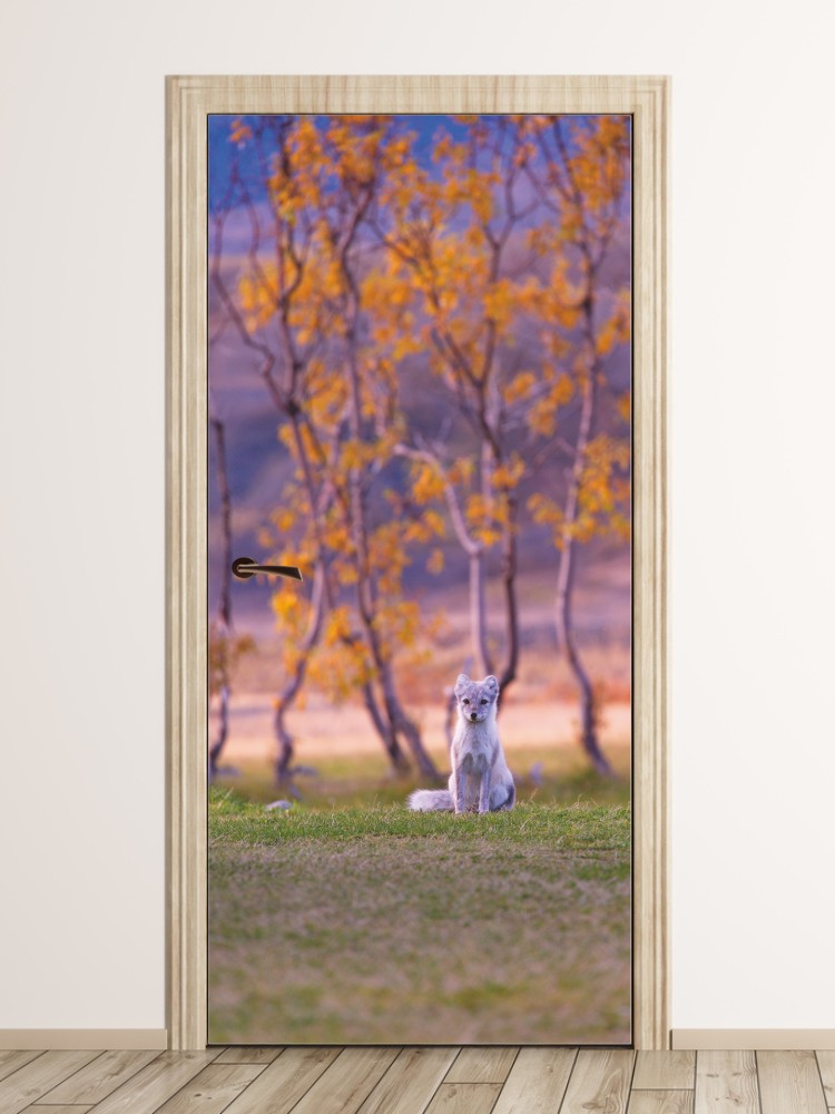 Fototapeta na drzwi małe zwierzę FP 6072