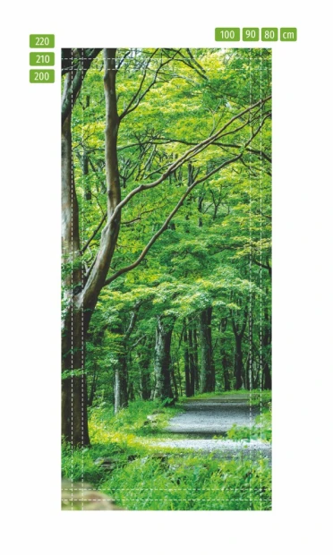 Fototapeta na drzwi z motywem zielonego parku w ujęciu z liniami pomocniczymi wymiarowania