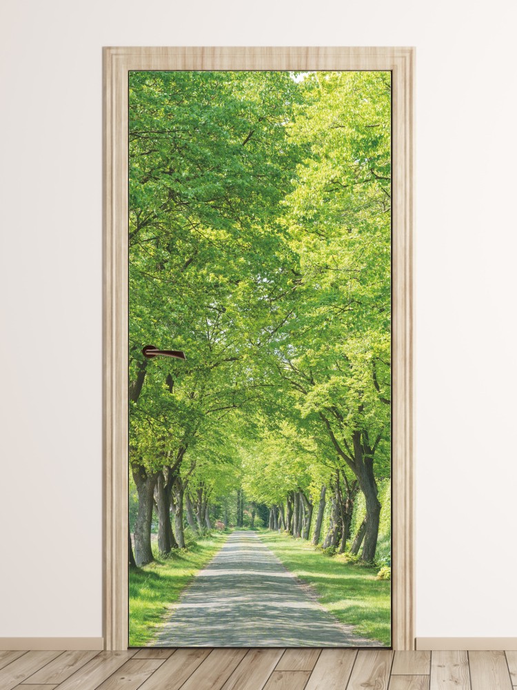 Fototapeta na drzwi parkowa aleja FP 6028