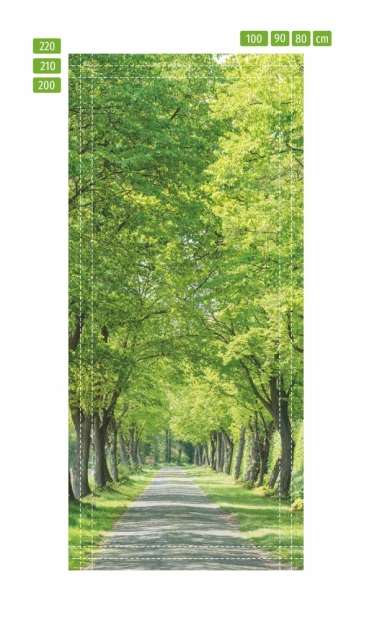 Fototapeta na drzwi z motywem parkowej alei, przedstawiona jako infografika z liniami pomocniczymi wymiarów