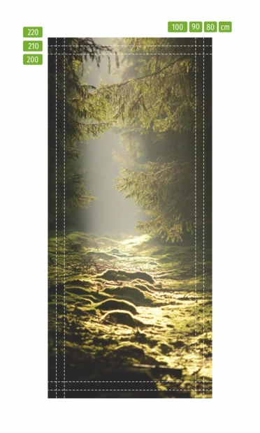 Fototapeta na drzwi promienie słońca na polanie FP 6073 - Wzór graficzny. Przedstawia leśną ścieżkę oświetloną promieniami