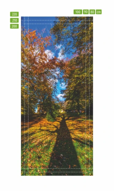 Fototapeta na drzwi w cieniu drzewa FP 6069 - Wzór graficzny. Grafika przedstawia cień drzewa na ścieżce wśród kolorowych