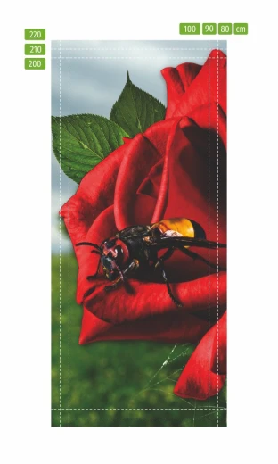 Fototapeta na drzwi z motywem czerwonej róży i owada, przedstawiona jako infografika z liniami cięcia wymiarów