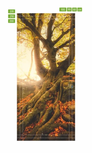 Fototapeta na drzwi ze starym drzewem w słońcu na infografice pokazującej linie cięcia i wymiary produktu