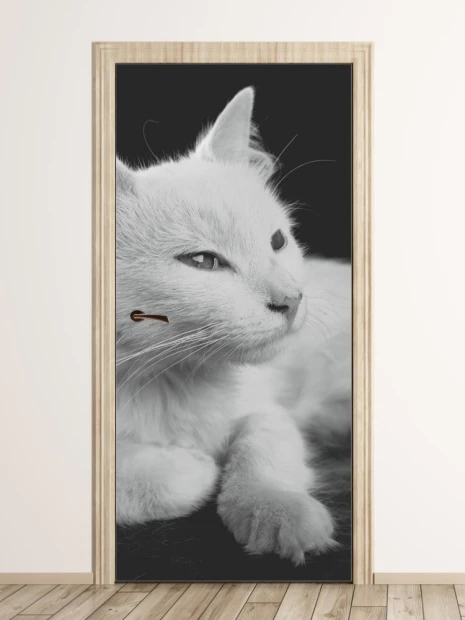 Fototapeta na drzwi biały kot FP 6169 - Wzór graficzny. Grafika przedstawia białego kota na ciemnym tle