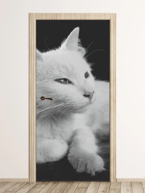 Fototapeta na drzwi biały kot FP 6169 - Wzór graficzny. Grafika przedstawia białego kota na ciemnym tle