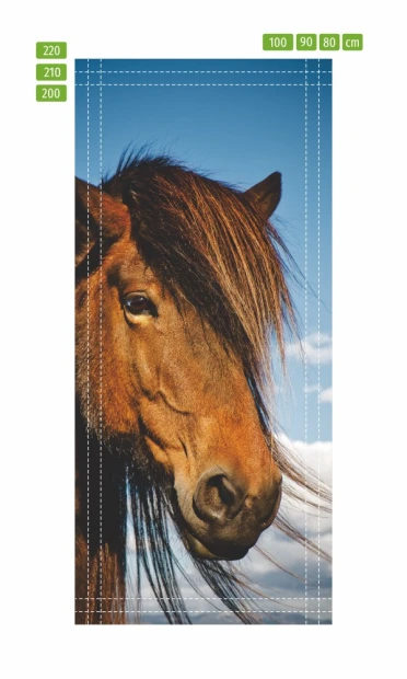 Fototapeta na drzwi głowa konia FP 6189 - Wzór graficzny. Grafika przedstawia głowę konia z długą grzywą na tle nieba