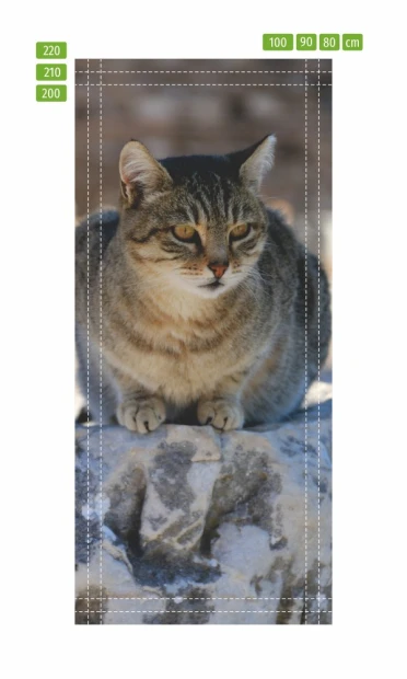 Fototapeta na drzwi kocur FP 6166 - Wzór graficzny. Przedstawia kota siedzącego na kamieniu, z wyraźnymi detalami futra