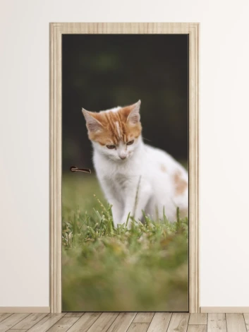 Fototapeta na drzwi kot FP 6165 - Aranżacja w przedpokoju. Ściany w jasnym kolorze, podłoga drewniana