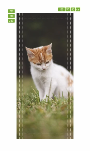 Fototapeta na drzwi kot FP 6165 - Wzór graficzny. Kot na trawie, z białym futrem i pomarańczowymi plamami