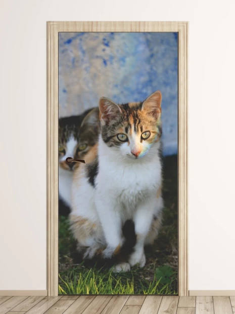 Fototapeta na drzwi koty FP 6167 - Aranżacja w pokoju. Ściany w jasnych kolorach, naturalne elementy w tle