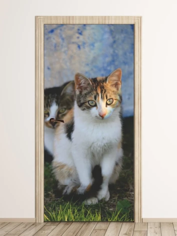 Fototapeta na drzwi koty FP 6167 - Aranżacja w pokoju. Ściany w jasnych kolorach, naturalne elementy w tle
