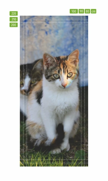Fototapeta na drzwi koty FP 6167 - Wzór graficzny. Przedstawia dwa koty na tle niebieskiego tła
