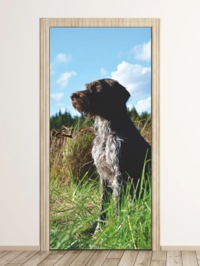Fototapeta na drzwi pies FP 6151 - Aranżacja w przestrzeni naturalnej. Zielona trawa i niebieskie niebo w tle