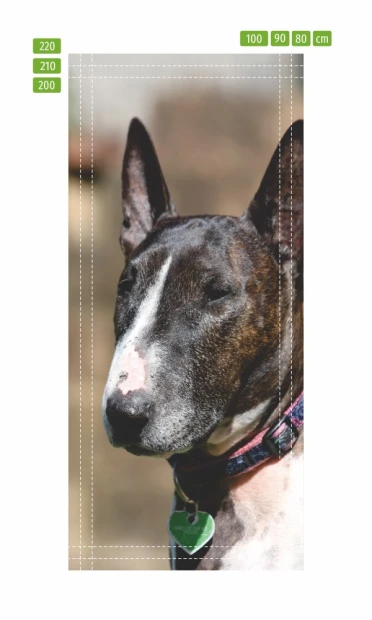 Fototapeta na drzwi pies FP 6161 - Wzór graficzny. Grafika przedstawia psa rasy bull terrier z brązowo-białym umaszczeniem