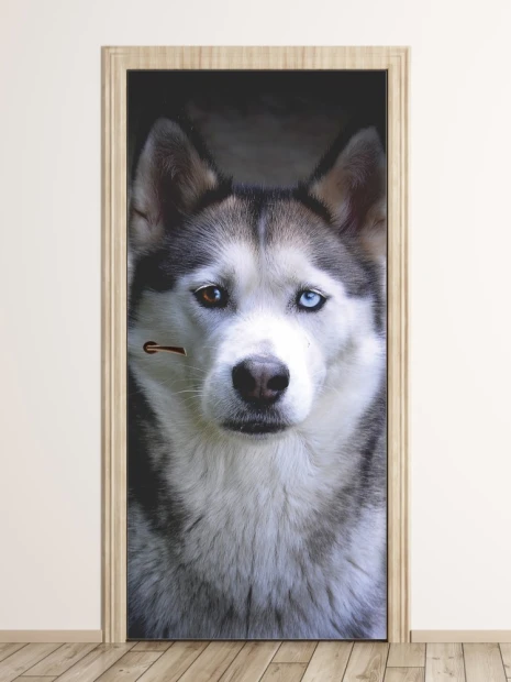 Fototapeta na drzwi pies husky FP 6192 - Wzór graficzny. Grafika przedstawia psa rasy husky z niebieskimi oczami na ciemnym