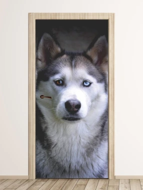 Fototapeta na drzwi pies husky FP 6192 - Wzór graficzny. Grafika przedstawia psa rasy husky z niebieskimi oczami na ciemnym