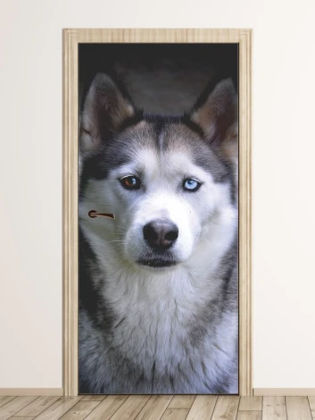 Fototapeta na drzwi pies husky FP 6192 - Wzór graficzny. Grafika przedstawia psa rasy husky z niebieskimi oczami na ciemnym