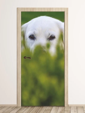 Fototapeta na drzwi pies ukryty w trawie FP 6185 - Wzór graficzny. Grafika przedstawia psa z widocznymi oczami, częściowo