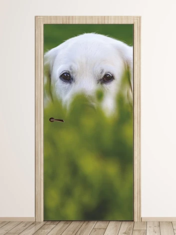 Fototapeta na drzwi pies ukryty w trawie FP 6185 - Wzór graficzny. Grafika przedstawia psa z widocznymi oczami, częściowo
