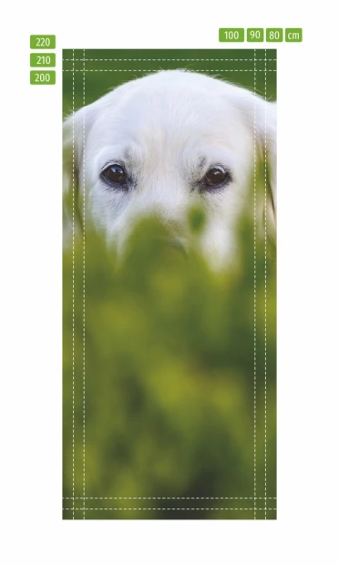 Fototapeta na drzwi pies ukryty w trawie FP 6185 - Wzór graficzny. Grafika przedstawia psa z widocznymi oczami, częściowo