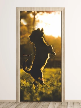 Fototapeta na drzwi psie zabawy w słońcu FP 6177 - Wzór graficzny. Silhouette psa skaczącego w promieniach słońca na tle