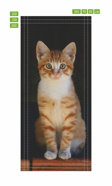 Fototapeta na drzwi rudy pręgowany kot FP 6168 - Wzór graficzny. Kot siedzi na tle ciemnego koloru, ma rudy pręgowany