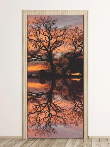Fototapeta na drzwi sylwetki drzew FP 6153