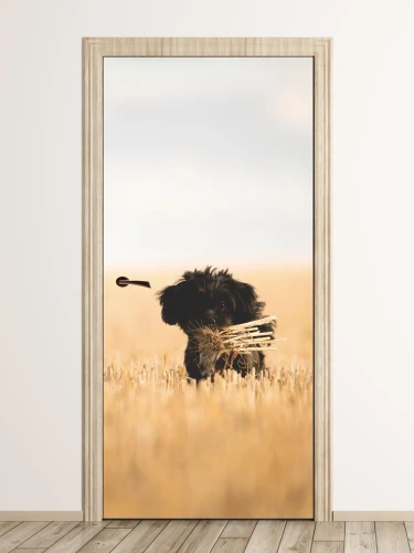 Fototapeta na drzwi szczeniak FP 6179