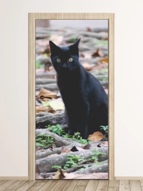 Fototapeta na drzwi czarny kot FP 6208 - Wzór graficzny. Kot siedzi na tle ziemi z liśćmi i zielonymi roślinami