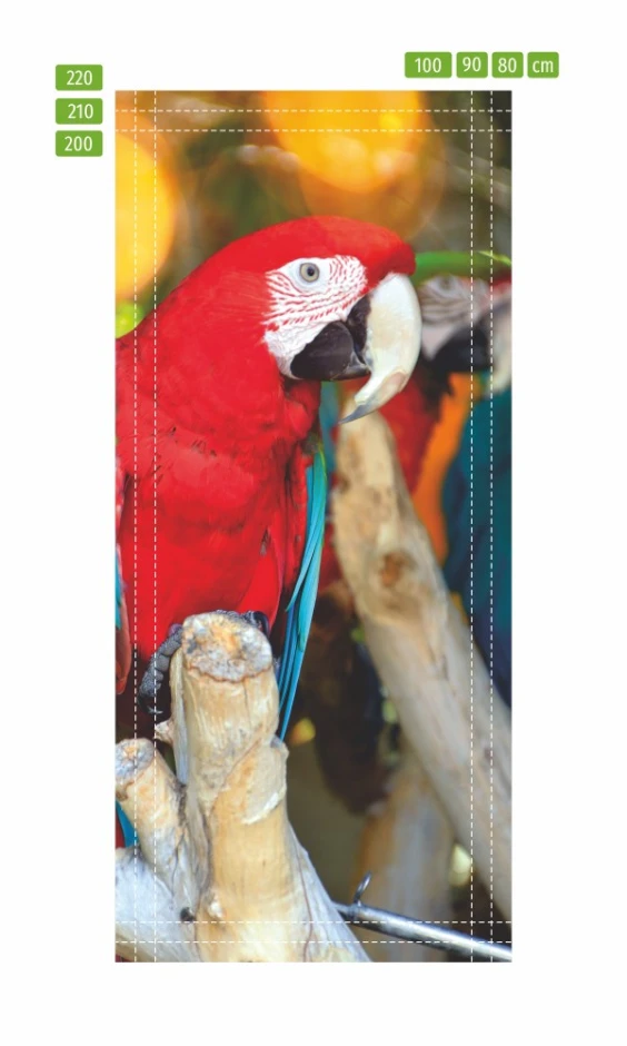 Fototapeta na drzwi czerwona papuga FP 6212 - Wzór graficzny. Papuga w intensywnych kolorach na tle zieleni