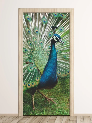 Fototapeta na drzwi paw FP 6214