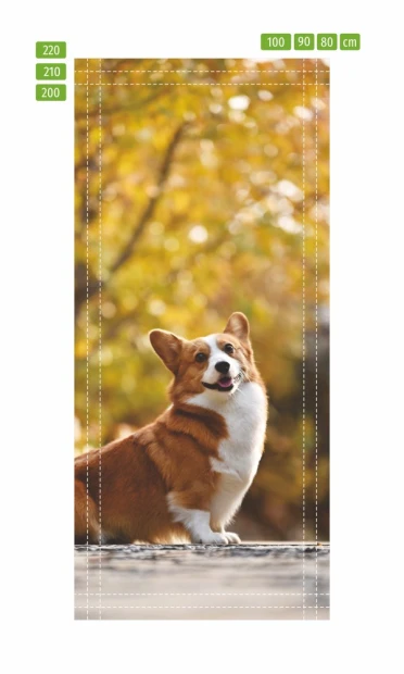 Fototapeta na drzwi pies FP 6216 - Wzór graficzny. Przedstawia psa rasy corgi na tle rozmytych, złotych liści