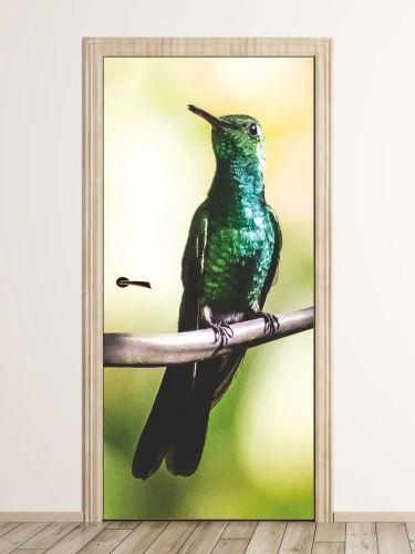 Fototapeta na drzwi koliber FP 6242