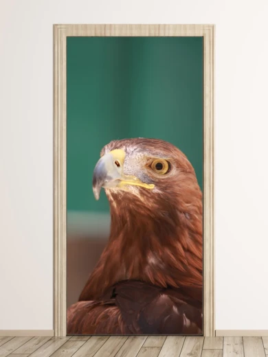Fototapeta na drzwi z nadrukiem głowy orła na zielonym tle we wnętrzu