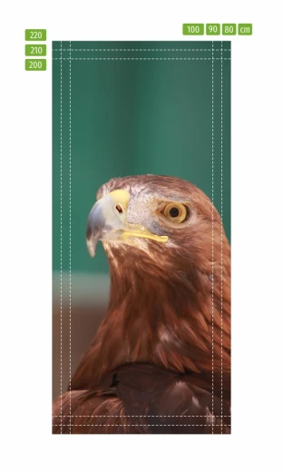 Fototapeta na drzwi z nadrukiem głowy orła przedstawiona jako infografika z liniami docięcia wymiarów