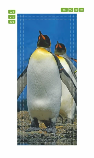 Fototapeta na drzwi pingwin FP 6249 - Wzór graficzny. Dwa pingwiny stojące na tle niebieskiego nieba