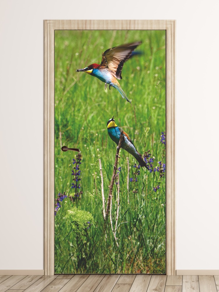 Fototapeta na drzwi ptaki FP 6240